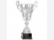 Coupe (41 cm)