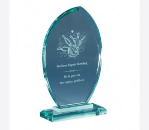 Trophée 20 cm (avec écrin et gravure)