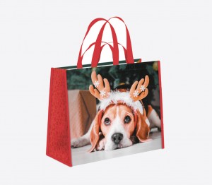 Maxi-Cabas"Christmas Dog"