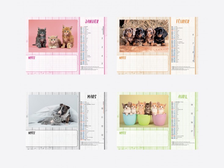 Calendrier Chiens-Chats