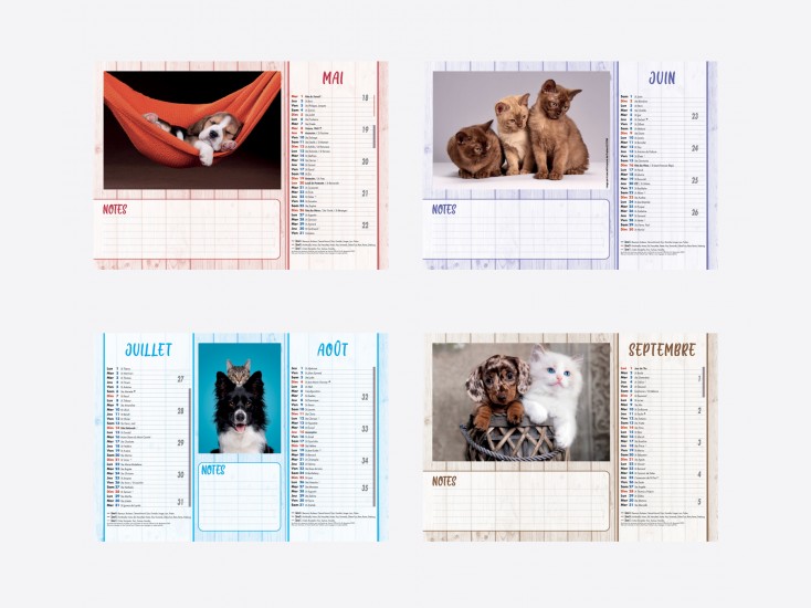 Calendrier Chiens-Chats