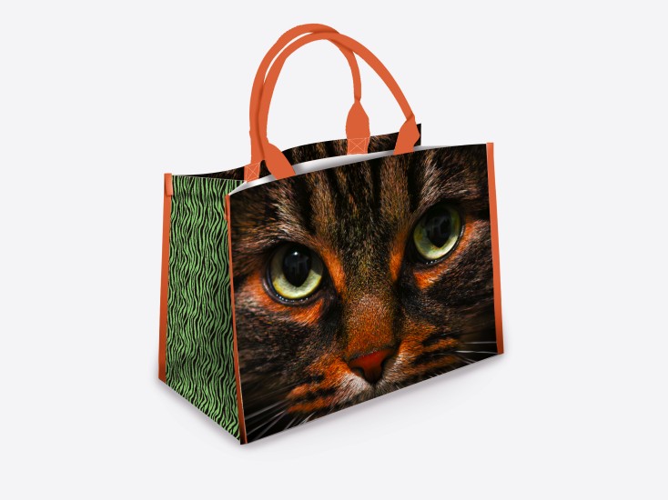 Sac Trendy "Beauté Féline"