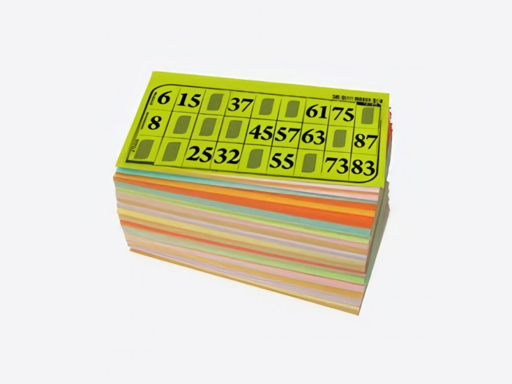 Cartons de Loto Bristol (lot de 500)