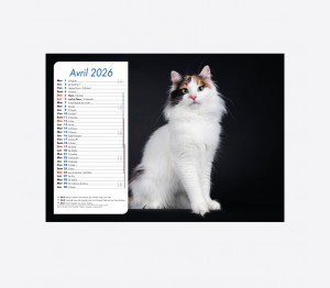 Calendrier Chiens-Chats