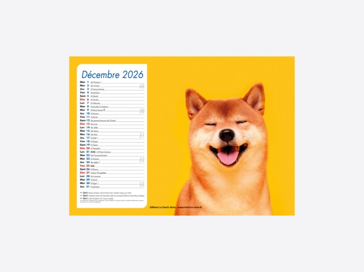 Calendrier Chiens-Chats