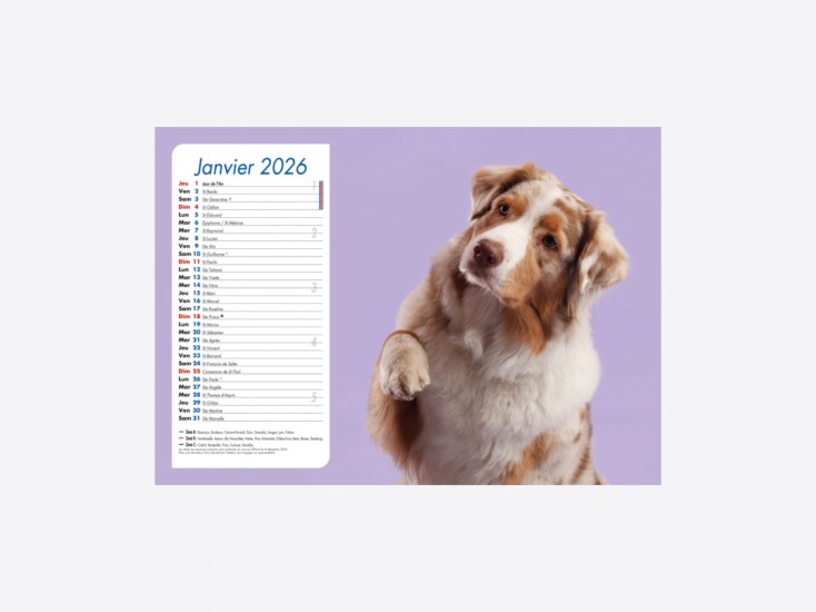 Calendrier Chiens-Chats