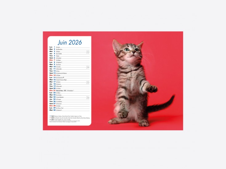 Calendrier Chiens-Chats
