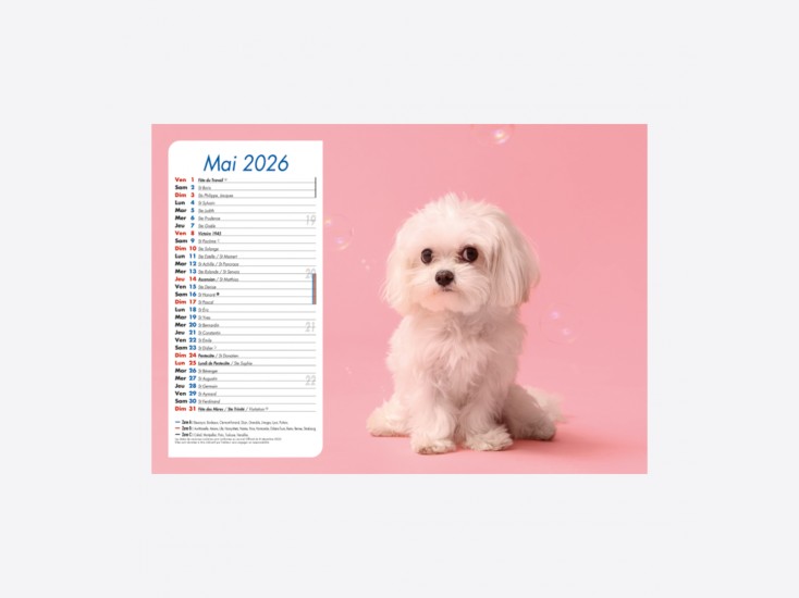 Calendrier Chiens-Chats