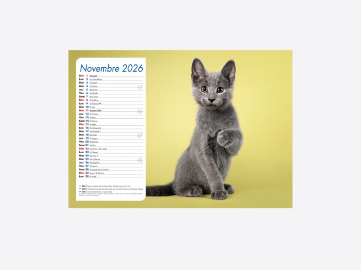 Calendrier Chiens-Chats