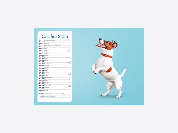 Calendrier Chiens-Chats