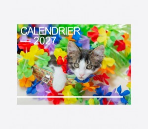 Calendrier Chiens-Chats