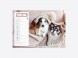 Calendrier Chiens-Chats