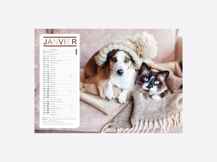 Calendrier Chiens-Chats