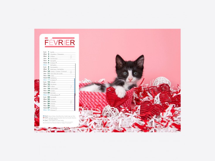 Calendrier Chiens-Chats