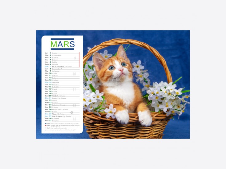 Calendrier Chiens-Chats