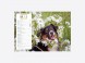 Calendrier Chiens-Chats
