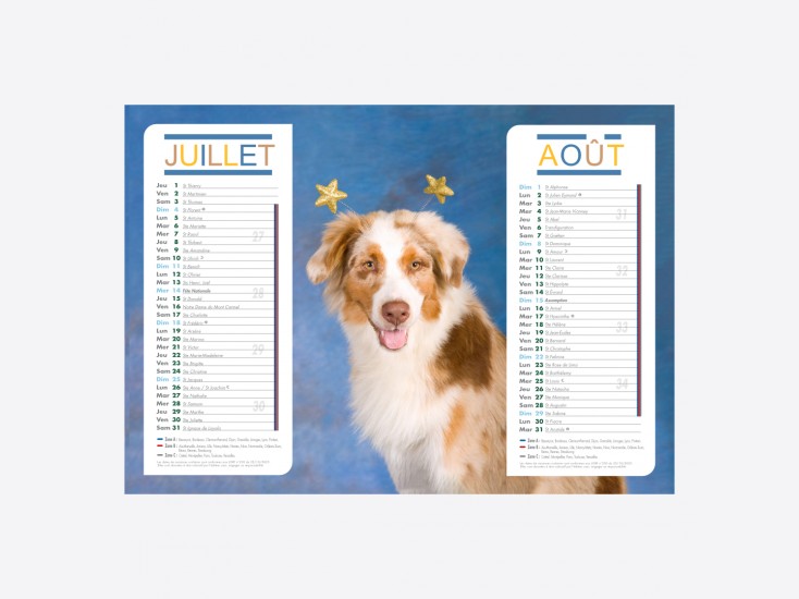 Calendrier Chiens-Chats
