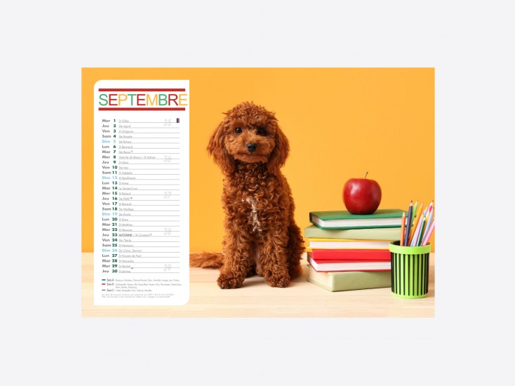 Calendrier Chiens-Chats