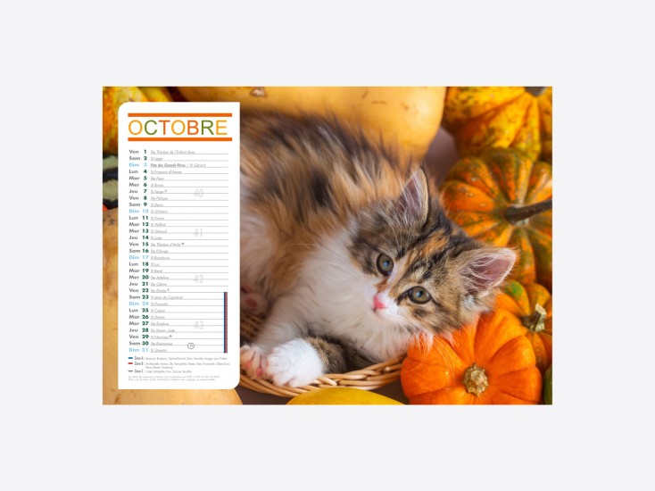 Calendrier Chiens-Chats
