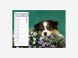Calendrier Chiens-Chats
