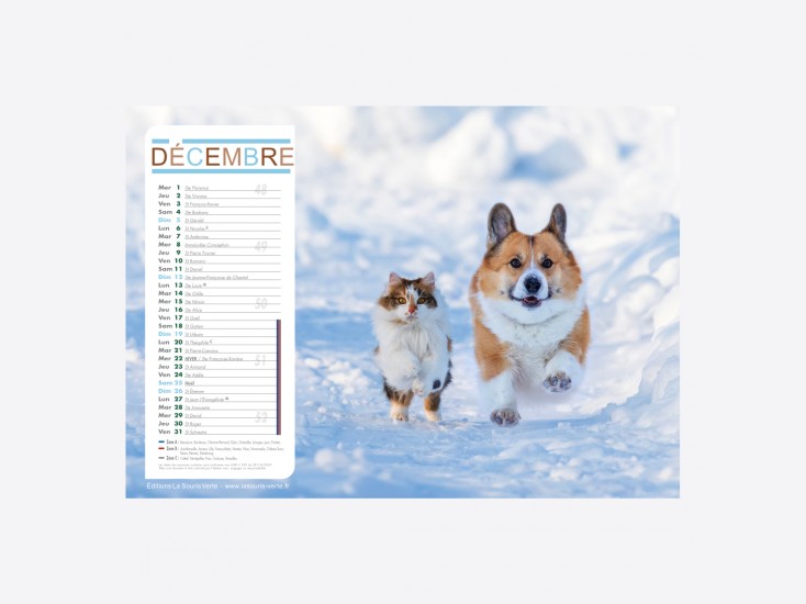Calendrier Chiens-Chats