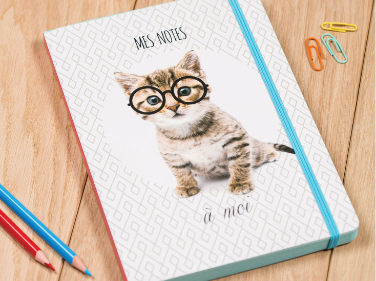 Cahier A5 "Intello Kitty"