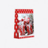 Sacs cadeaux N°3 ** (32X26 cm)