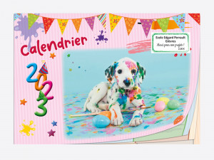 Calendriers 12 pages " chat - chien "