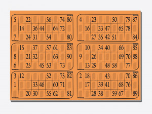 84 Planches de loto de 6 grilles I Feuilles de loto personnalisables