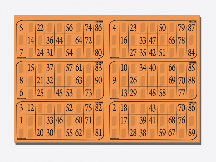 Grand Boulier de Loto  Matériel de Tirage Quine