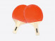 Set de 2 raquettes ping pong